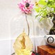 Tác phẩm nghệ thuật, quà tặng lưu niệm, lá bồ đề mạ vàng 24K