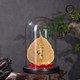 Lá bồ đề mạ vàng và Tượng Thày Thích Pháp Hòa